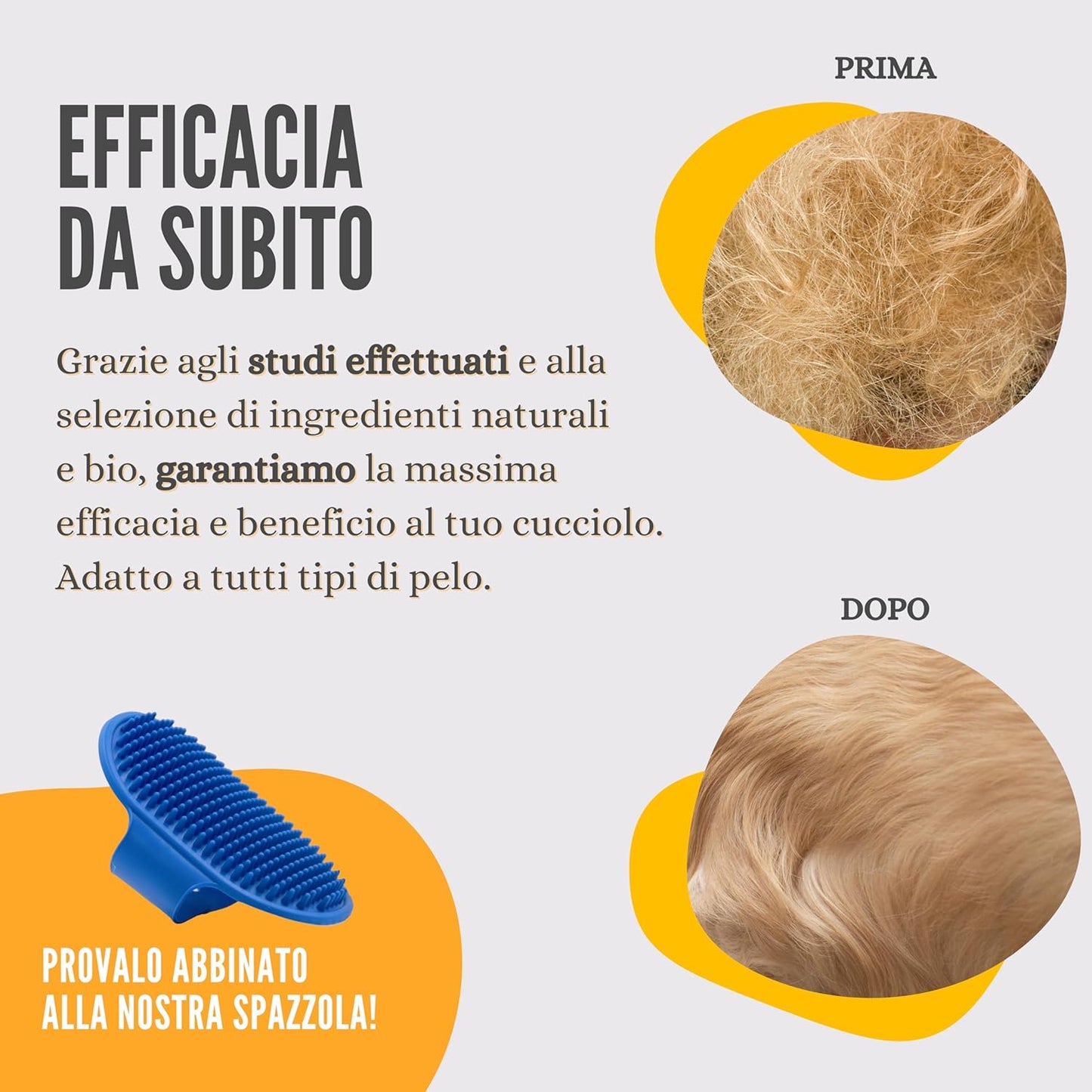 LEXYFRIEND Shampoo Mousse a Secco per Cani e Gatti – Pulizia Delicata Senza Acqua e Profumazione Naturale – 150 ml