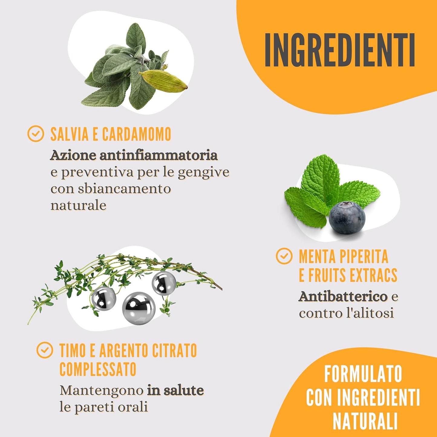 LEXYFRIEND Spray Dentale Enzimatico per Cani e Gatti – Igiene Orale Quotidiana e Alito Fresco – 150 ml